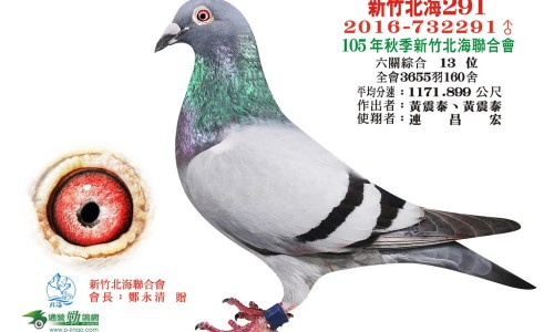 黄瓜籽生吃的功效和作用-生黄瓜籽的功效与作用网生黄瓜籽可以吃吗知识网站,分享黄瓜籽生吃的功效和作用大全