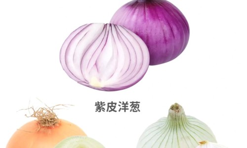生黄瓜籽的功效与作用网生黄瓜籽可以吃吗知识网站,分享黄瓜籽生吃的功效和作用大全