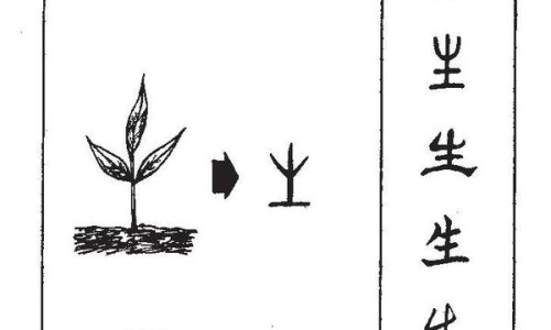 生黄瓜籽的功效与作用及食用方法-生黄瓜籽的功效与作用网生黄瓜籽可以吃吗知识网站,分享黄瓜籽生吃的功效和作用大全
