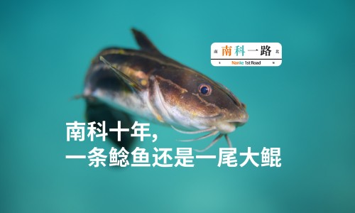 生黄瓜籽和熟黄瓜籽的区别-生黄瓜籽的功效与作用网生黄瓜籽可以吃吗知识网站,分享黄瓜籽生吃的功效和作用大全